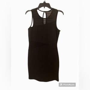 The little black dress….🐝